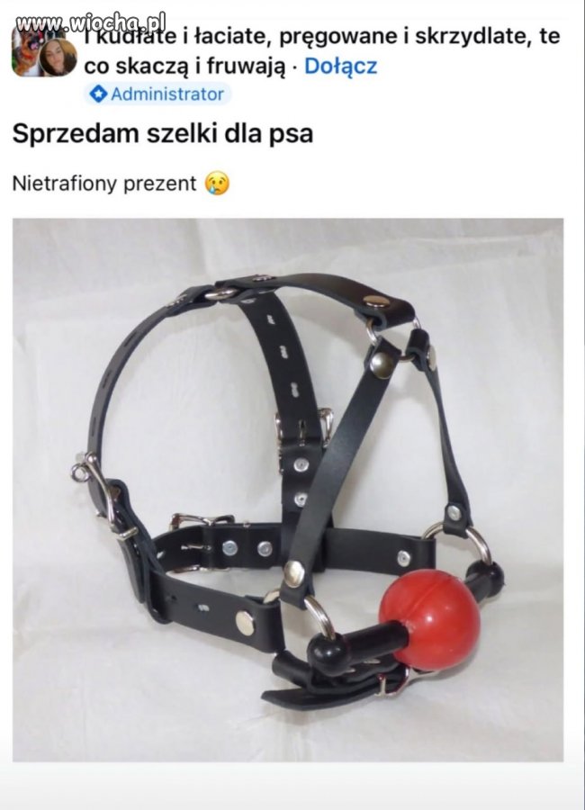 Osobliwe ogłoszenie