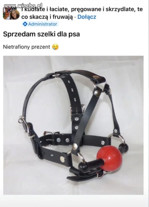 Osobliwe ogłoszenie
