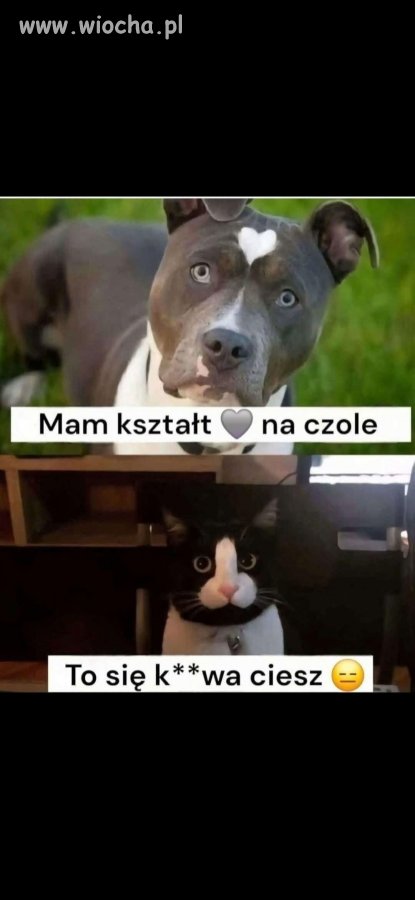 Gdy życie rozdaje wzorki niesprawiedliwie