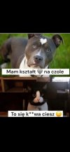 Gdy życie rozdaje wzorki niesprawiedliwie