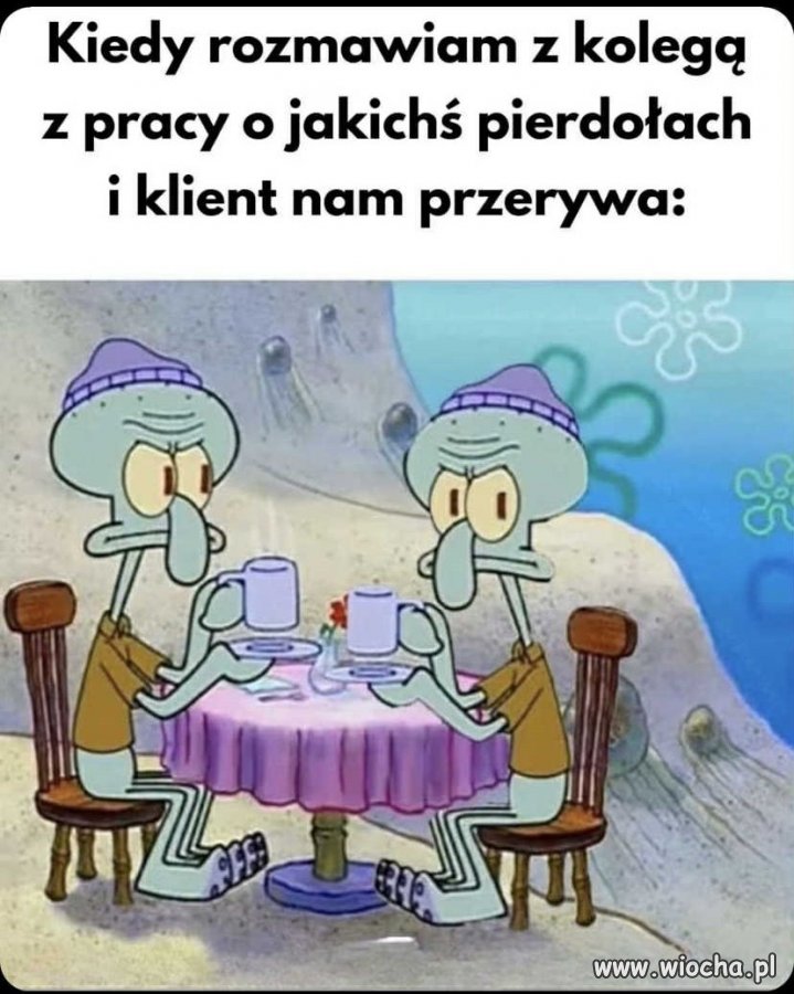 Nocne rozkminy