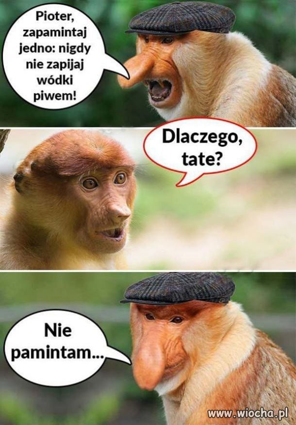 Ojciec wie swoje