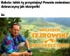 Jak skarpetki, tylko że wcale