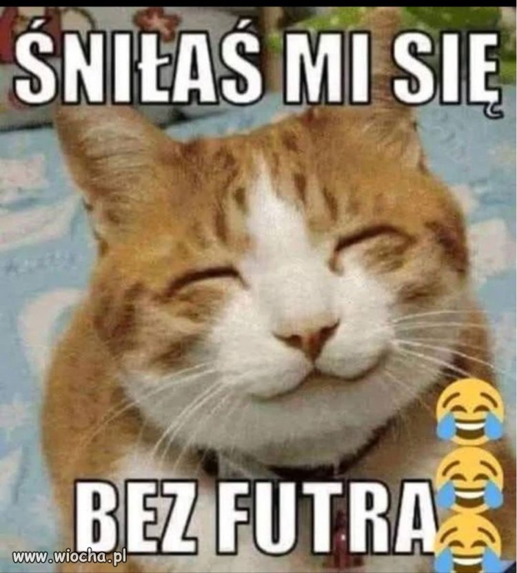Sny, których lepiej nie analizować