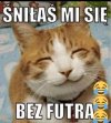 Sny, których lepiej nie analizować