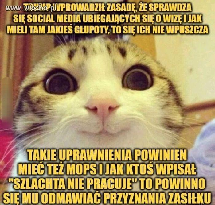 I tu w przypadku sociali 