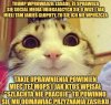 I tu w przypadku sociali 