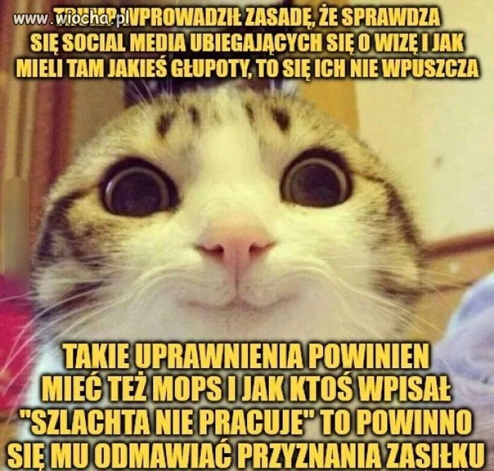 I tu w przypadku sociali 