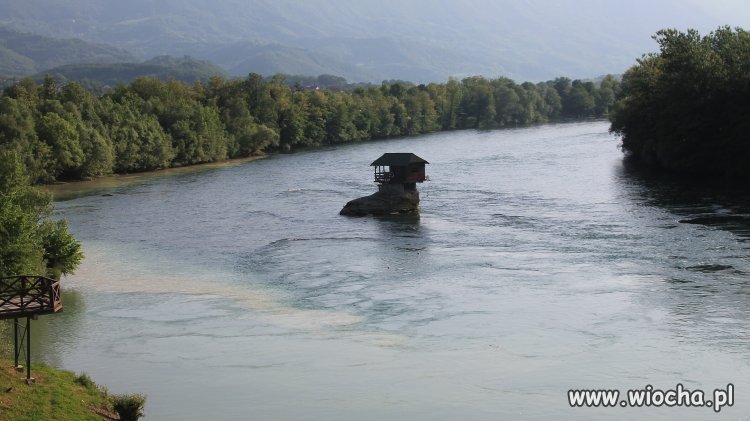 Egzamin ostateczny