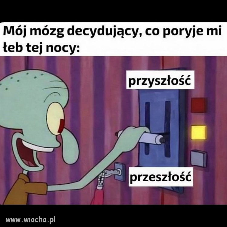 Nocne rozkminy