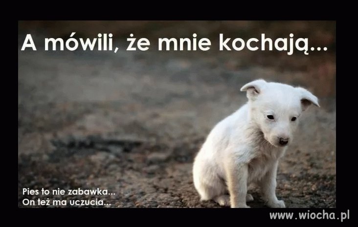 Święta, święta i po świętach