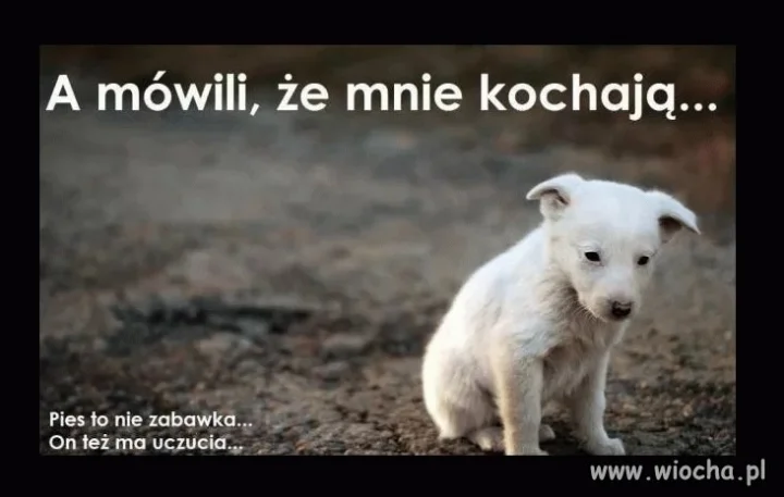 Święta, święta i po świętach