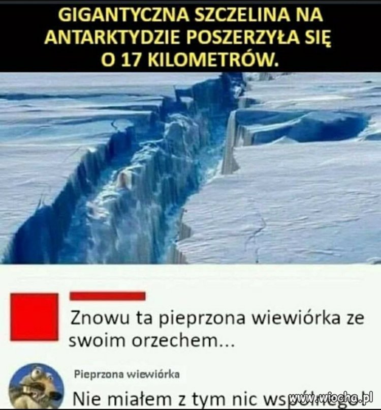 Globalne problemy i lokalny podejrzany