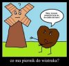Piernik