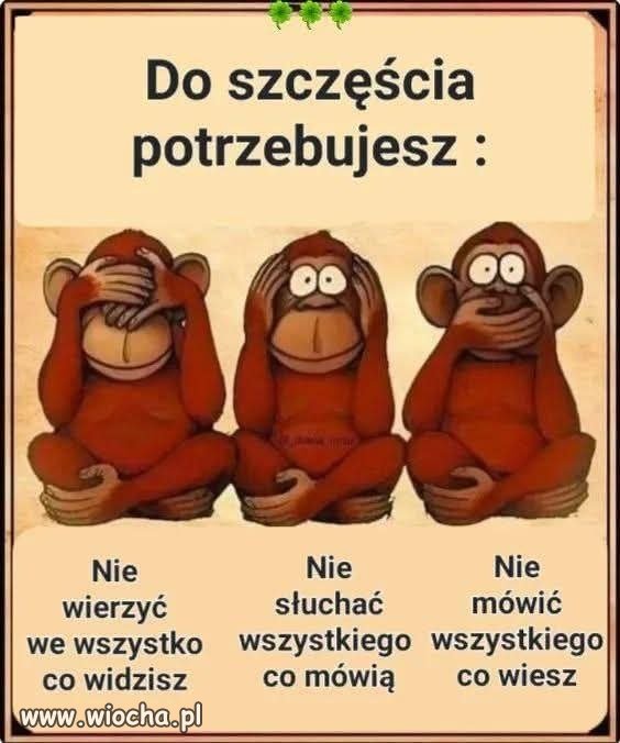 Instrukcja obsługi życia