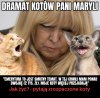 Może i półtora miliona emerytów ma tyle lub mniej 
