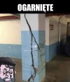 Ogarnijcie, ktoś kazał
