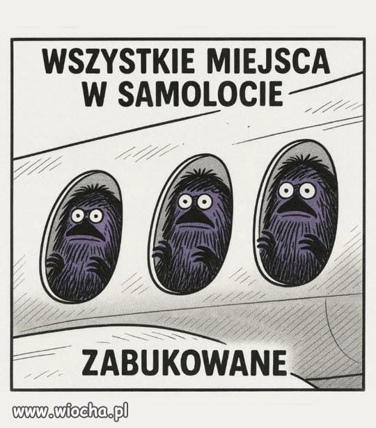 Podróż marzeń