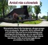 To się psy ucieszą...
