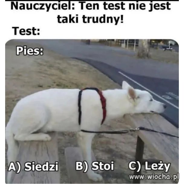 Kiedy logika szkolna przegrywa z logiką wewnętrzną