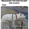 Kiedy logika szkolna przegrywa z logiką wewnętrzną