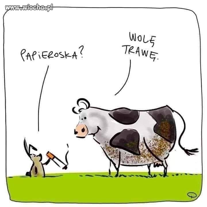 Zderzenie dwóch szkół relaksu