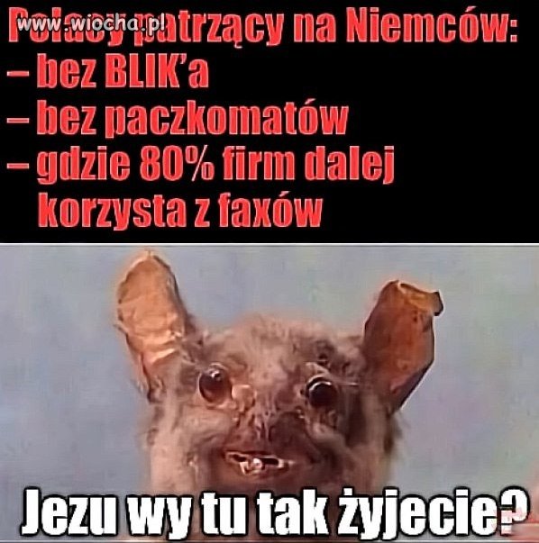 Polacy patrzący na Niemców