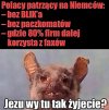 Polacy patrzący na Niemców