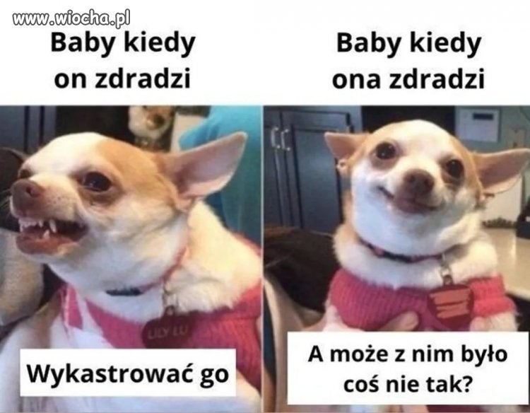 Prawda to? Jakie są wasze doświadczenia w tym zakresie?