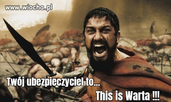 Ubezpieczenia