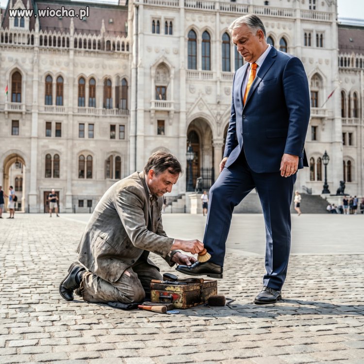 Pucybut z Budapesztu 