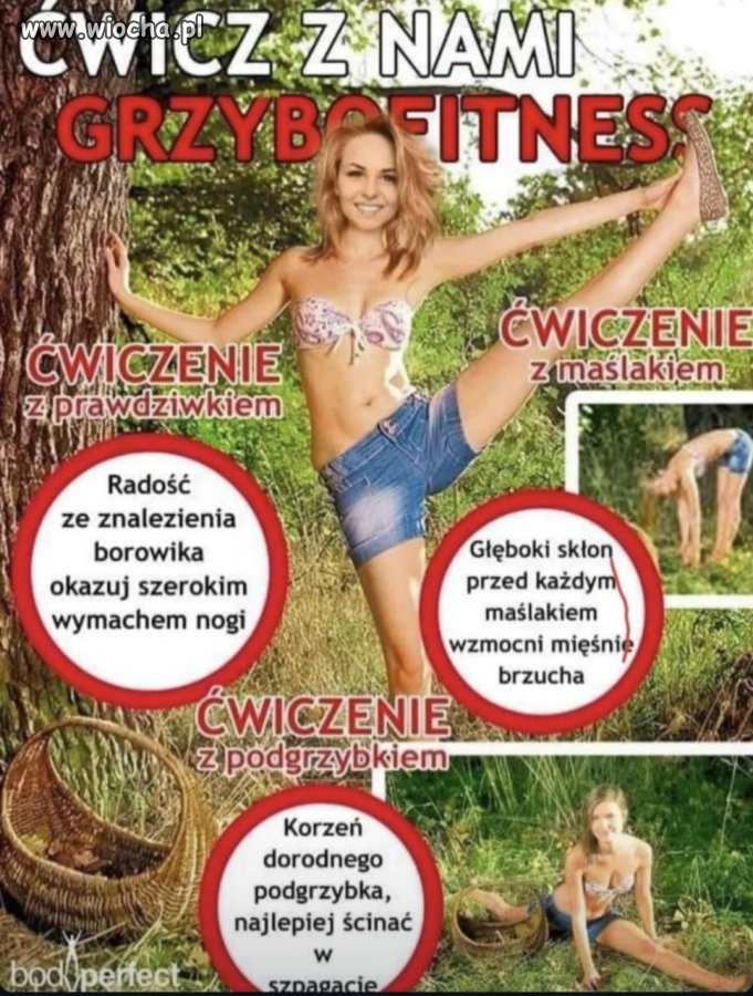 W Olsztynie sugerują, że lepiej ćwiczyć w lesie z grzybami niż iść na salę fitness