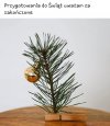 Święta świętami, ale budżet już dawno pojechał