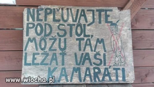 Czesi to wiedzą 