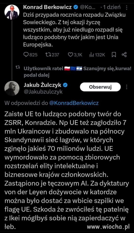 Berkowicz ty dzbanie 