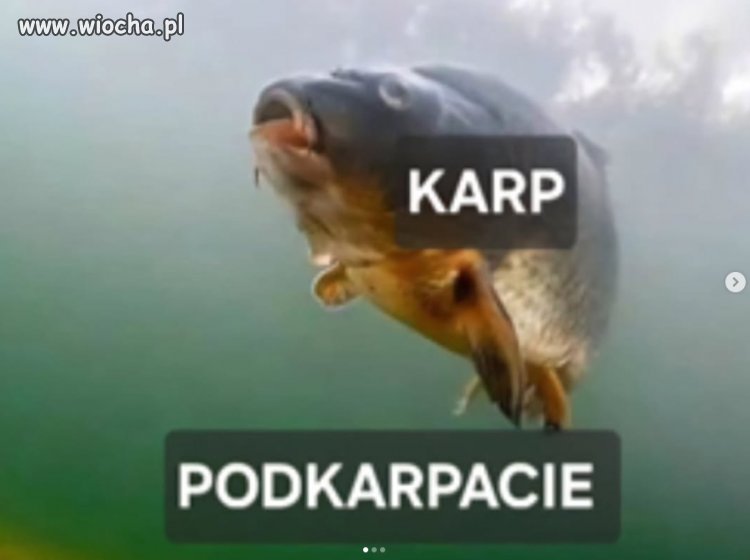 Tak zwany
