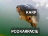 Tak zwany