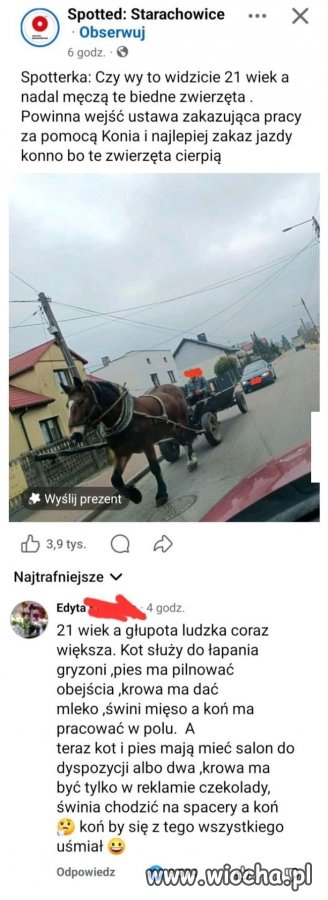 Prawa i przywileje zwierzątek