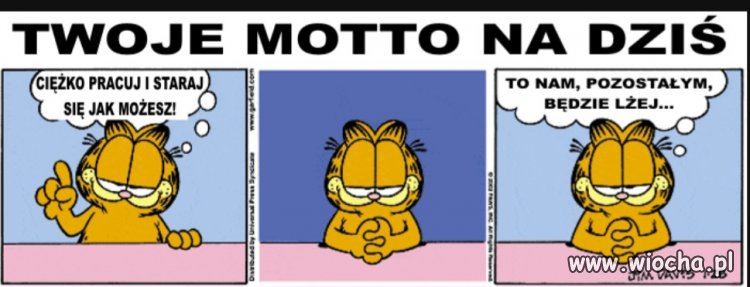 Motto dla pracujących w corpo 