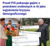 Logika pisu tego nie da się zrozumieć 