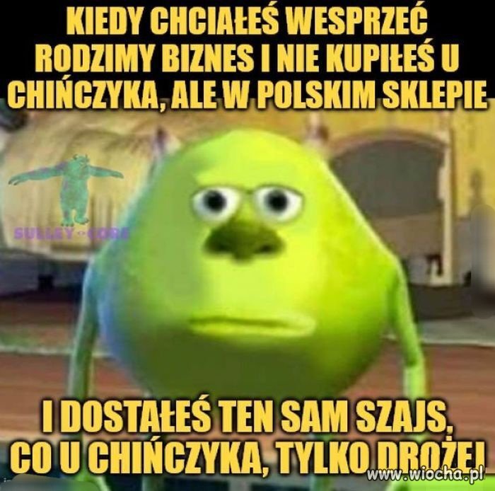 Polski pomysł na biznes 