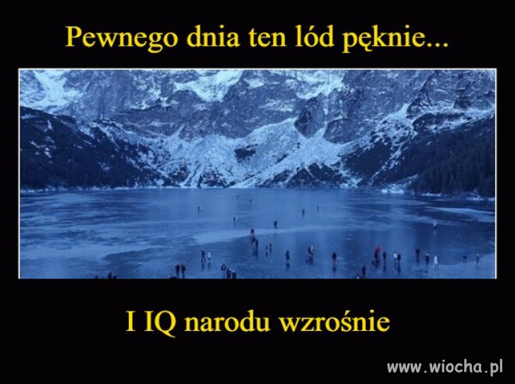 Polak mądry po szkodzie