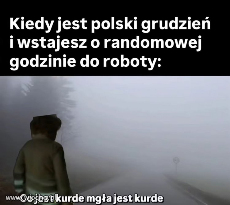 Co jest kurde