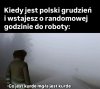 Co jest kurde