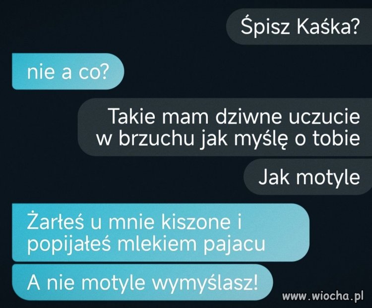 Motyle w brzuchu kontra kiszone z mlekiem