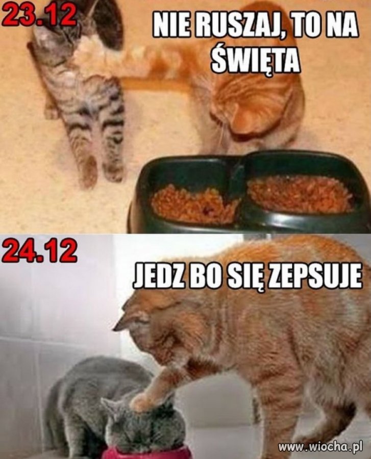 Świąteczny klasyk