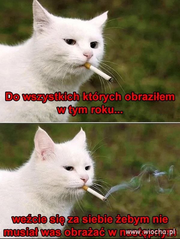 Przeprosiny, które kończą się wyrzutem sumienia