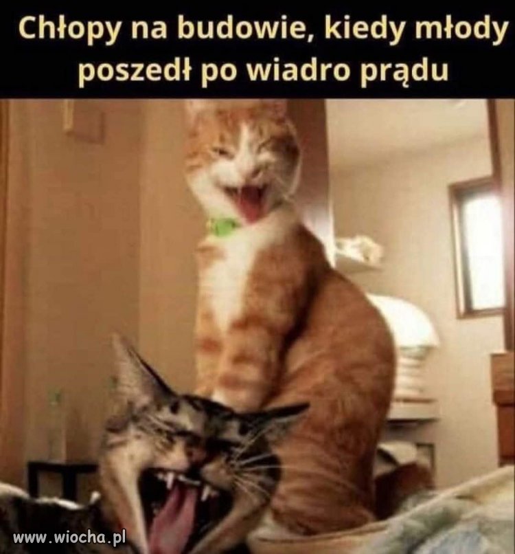 Chrzest na budowie