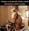 Chrzest na budowie