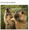 Każdy, ale to każdy 